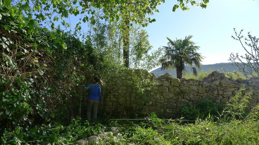 Domaine De La Manse Ξενοδοχείο Villeneuve-de-Berg Εξωτερικό φωτογραφία