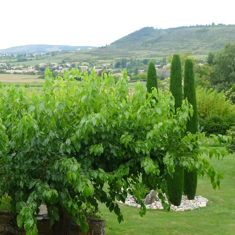 Domaine De La Manse Ξενοδοχείο Villeneuve-de-Berg Εξωτερικό φωτογραφία
