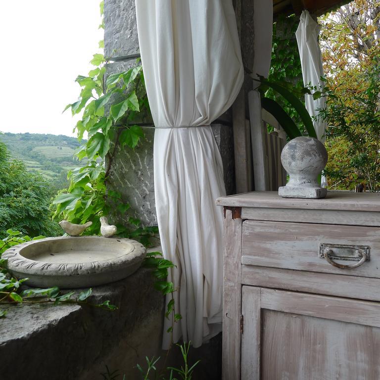 Domaine De La Manse Ξενοδοχείο Villeneuve-de-Berg Εξωτερικό φωτογραφία