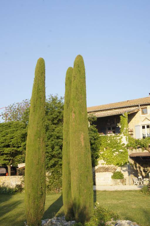 Domaine De La Manse Ξενοδοχείο Villeneuve-de-Berg Εξωτερικό φωτογραφία