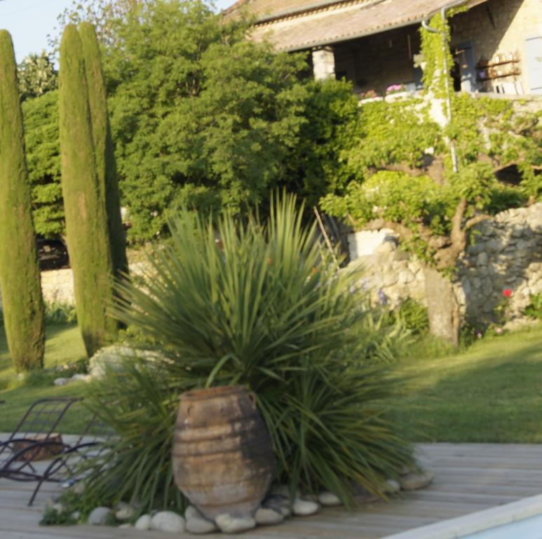 Domaine De La Manse Ξενοδοχείο Villeneuve-de-Berg Εξωτερικό φωτογραφία