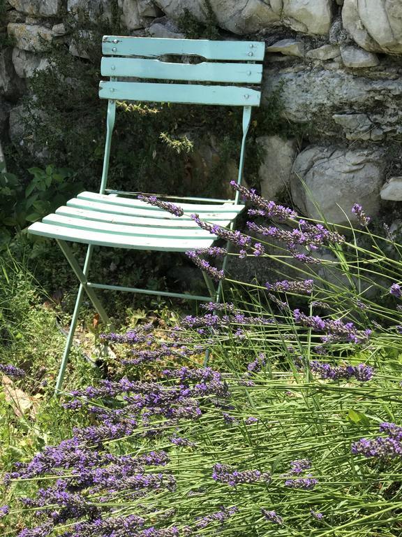 Domaine De La Manse Ξενοδοχείο Villeneuve-de-Berg Εξωτερικό φωτογραφία